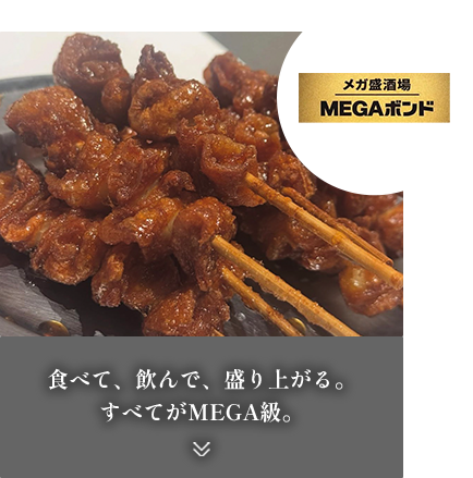 メガ盛り酒場MEGAボンド
